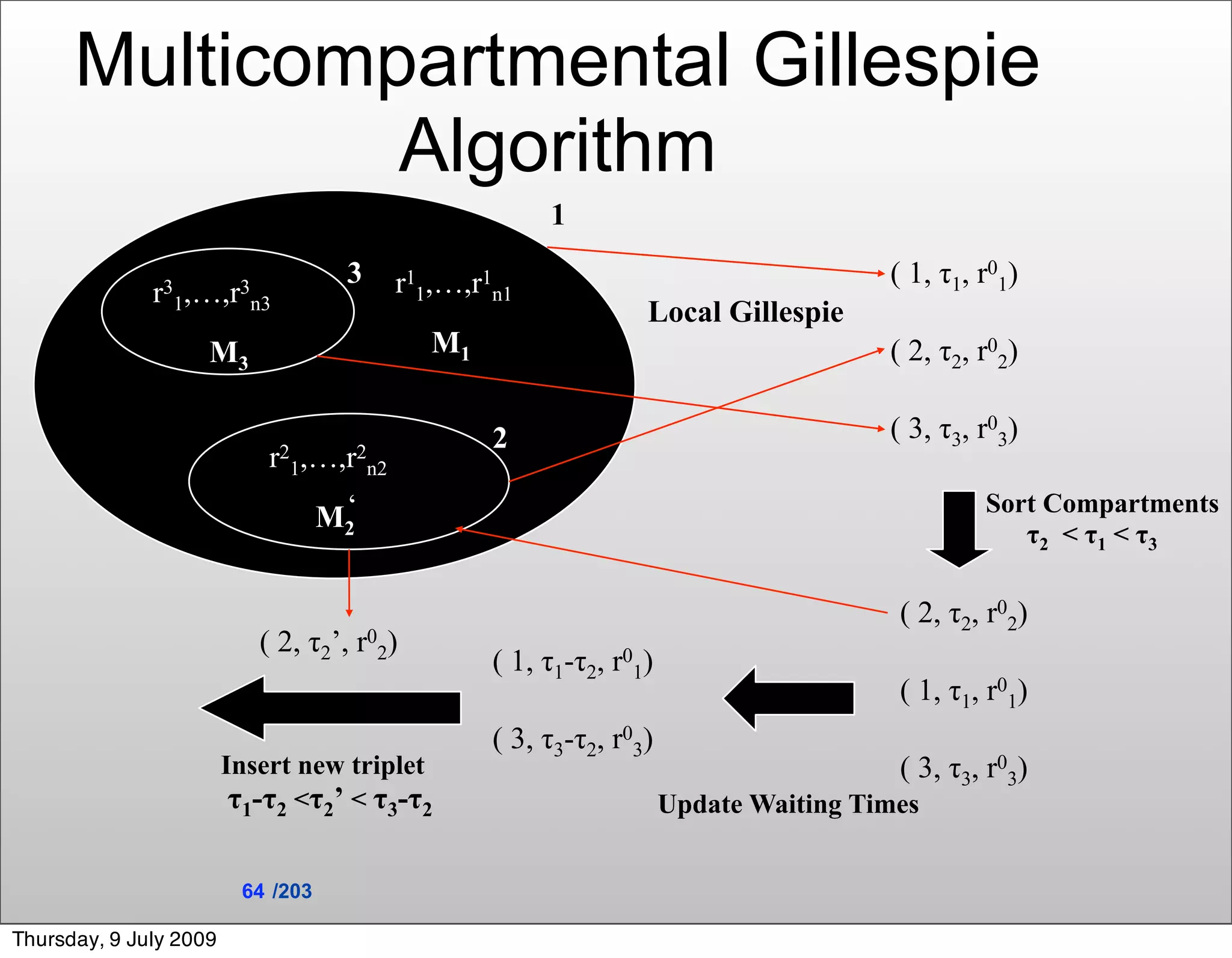 Multicompartmental Gillespie
               Algorithm
                                                      1
                                    3    r11,…,r1n1                                  ( 1, τ1, r01)
              r31,…,r n3
                     3
                                                                Local Gillespie
                    M3                      M1                                       ( 2, τ2, r02)

                                                 2                                   ( 3, τ3, r03)
                            r21,…,r2n2
                                    ‘                                                         Sort Compartments
                                   M2
                                                                                                 τ2 < τ1 < τ3

                                                                                      ( 2, τ2, r02)
                           ( 2, τ2’, r02)
                                                 ( 1, τ1-τ2, r01)
                                                                                      ( 1, τ1, r01)
                                                 ( 3, τ3-τ2, r03)
                        Insert new triplet                                            ( 3, τ3, r03)
                         τ1-τ2 <τ2’ < τ3-τ2                         Update Waiting Times


                         64 /203

Thursday, 9 July 2009
 
