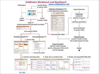 Computational Synthetic Biology | PDF