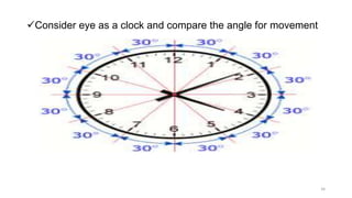 Consider eye as a clock and compare the angle for movement
34
 