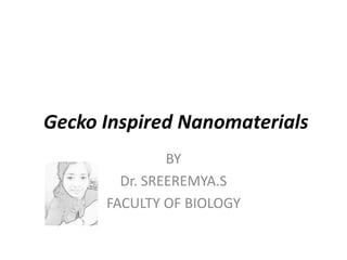 Gecko Inspired Nanomaterials
BY
Dr. SREEREMYA.S
FACULTY OF BIOLOGY
 