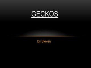 GECKOS


 By Steven
 