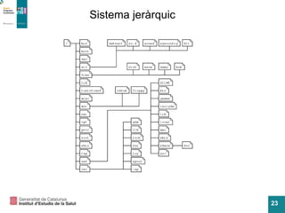Sistema jeràrquic 