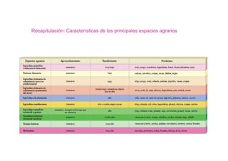 Recapitulación: Características de los principales espacios agrarios
 