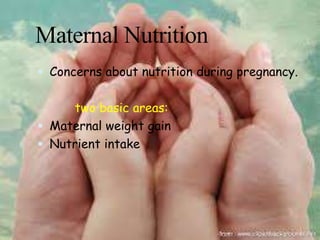 Maternal Nutrition
 Concerns about nutrition during pregnancy.
two basic areas:
 Maternal weight gain
 Nutrient intake
 