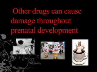 Other drugs can cause
damage throughout
prenatal development
 