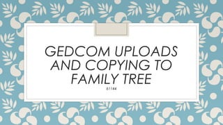 GEDCOM UPLOADS
AND COPYING TO
FAMILY TREE61144
 