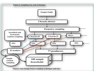 Fiqure1 sampling size and technique
Source: own design from sampling technique and size.
Chencha district
Chencha 03
Shaye
PPSPPS
77 producers
Gamo Gofa
Stratified and
Systematic
random sampling Chencha 01
PPS
Purposive sampling
PPS
33 traders
100 sample
households
Simple
random
sampling
 