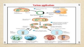 DESIGN OF PLASMID VECTOR & PROKARYOTIC AND EUKARYOTIC VECTORS | PPTX
