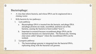 DESIGN OF PLASMID VECTOR & PROKARYOTIC AND EUKARYOTIC VECTORS | PPTX