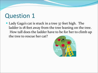 Question 1 Lady Gaga’s cat is stuck in a tree 37 feet high.  The ladder is 18 feet away from the tree leaning on the tree.  How tall does the ladder have to be for her to climb up the tree to rescue her cat? 