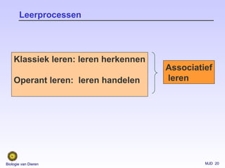 MJD 20Biologie van Dieren
Leerprocessen
Klassiek leren: leren herkennen
Operant leren: leren handelen
Associatief
leren
 