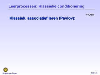 MJD 23Biologie van Dieren
Leerprocessen: Klassieke conditionering
Klassiek, associatief leren (Pavlov):Klassiek, associatief leren (Pavlov):
video
 