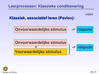 MJD 25Biologie van Dieren
Onvoorwaardelijke stimulus -> respons
Leerprocessen: Klassieke conditionering
Klassiek, associatief leren (Pavlov):Klassiek, associatief leren (Pavlov):
Onvoorwaardelijke stimulus
+ -> respons
Voorwaardelijke stimulus
video
 