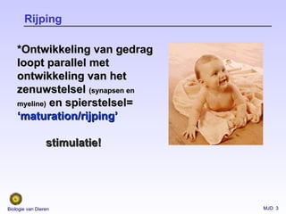 MJD 3Biologie van Dieren
Rijping
*Ontwikkeling van gedrag*Ontwikkeling van gedrag
loopt parallel metloopt parallel met
ontwikkeling van hetontwikkeling van het
zenuwstelselzenuwstelsel (synapsen en(synapsen en
myeline)myeline) en spierstelsel=en spierstelsel=
‘‘maturation/rijping’maturation/rijping’
stimulatie!stimulatie!
 