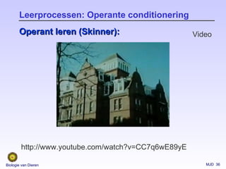 MJD 36Biologie van Dieren
Leerprocessen: Operante conditionering
Operant leren (Skinner):Operant leren (Skinner): Video
http://www.youtube.com/watch?v=CC7q6wE89yE
 