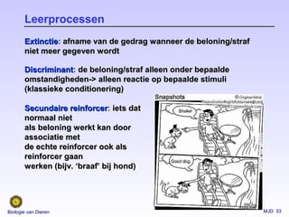 MJD 53Biologie van Dieren
Leerprocessen
ExtinctieExtinctie: afname van de gedrag wanneer de beloning/strafafname van de gedrag wanneer de beloning/straf
niet meer gegeven wordtniet meer gegeven wordt
DiscriminantDiscriminant: de beloning/straf alleen onder bepaaldede beloning/straf alleen onder bepaalde
omstandigheden-> alleen reactie op bepaalde stimuliomstandigheden-> alleen reactie op bepaalde stimuli
(klassieke conditionering)(klassieke conditionering)
Secundaire reinforcerSecundaire reinforcer: iets datiets dat
normaal nietnormaal niet
als beloning werkt kan doorals beloning werkt kan door
associatie metassociatie met
de echte reinforcer ook alsde echte reinforcer ook als
reinforcer gaanreinforcer gaan
werken (bijv. ‘braaf’ bij hond)werken (bijv. ‘braaf’ bij hond)
 