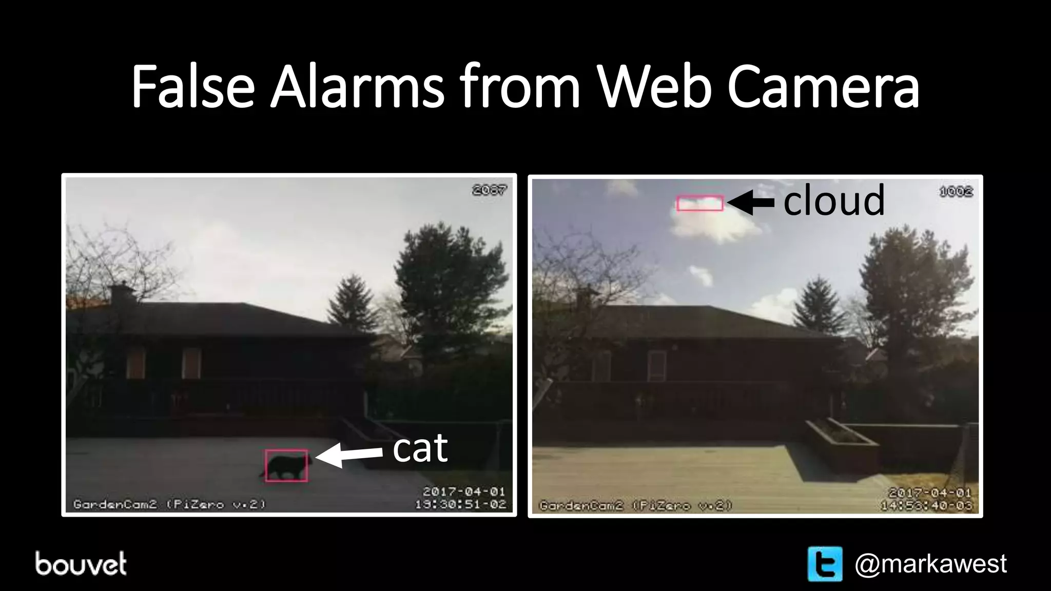 False Alarms from Web Camera
cat
cloud
@markawest
 