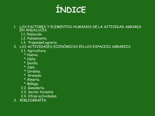 ÍNDICE
1. LOS FACTORES Y ELEMENTOS HUMANOS DE LA ACTIVIDAD AGRARIA
   EN ANDALUCÍA.
    1.1. Población.
    1.2. Poblamiento.
    1.3. Propiedad agraria.
2. LAS ACTIVIDADES ECONÓMICAS EN LOS ESPACIOS AGRARIOS.
    2.1. Agricultura.
      * Huelva.
      * Cádiz.
      * Sevilla.
      * Jaén.
      * Córdoba.
      * Granada.
      * Almería.
      * Málaga.
    2.2. Ganadería.
    2.3. Sector forestal.
    2.4. Otras actividades.
3. BIBLIOGRAFÍA.
 