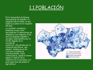 1.1.POBLACIÓN
Es la Comunidad Autónoma
más poblada de España y la
segunda más extensa, lo que
explica su peso en el conjunto
del país.
La realidad económica
andaluza actual, está
marcada por la desventaja de
Andalucía con respecto a los
marcos globales español y
europeo, básicamente por la
tardía llegada de la
revolución
industrial, dificultada por la
situación periférica que
adoptó Andalucía en los
circuitos económicos
internacionales. Como
consecuencia, queda el menor
espacio relativo de la
industria en la economía y el
gran peso que aún posee la
agricultura.
 