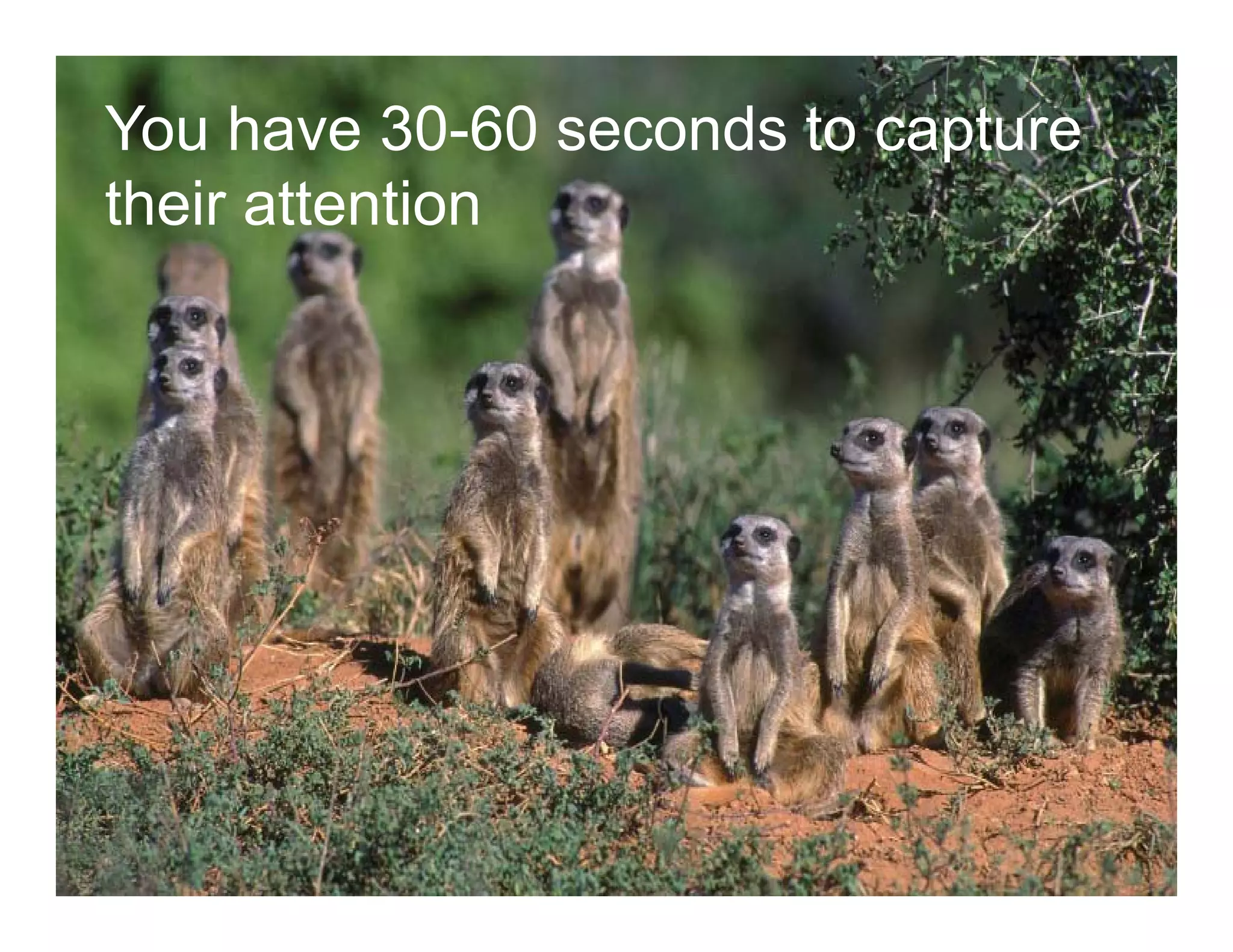 You have 30-60 seconds to capture
their attention
 