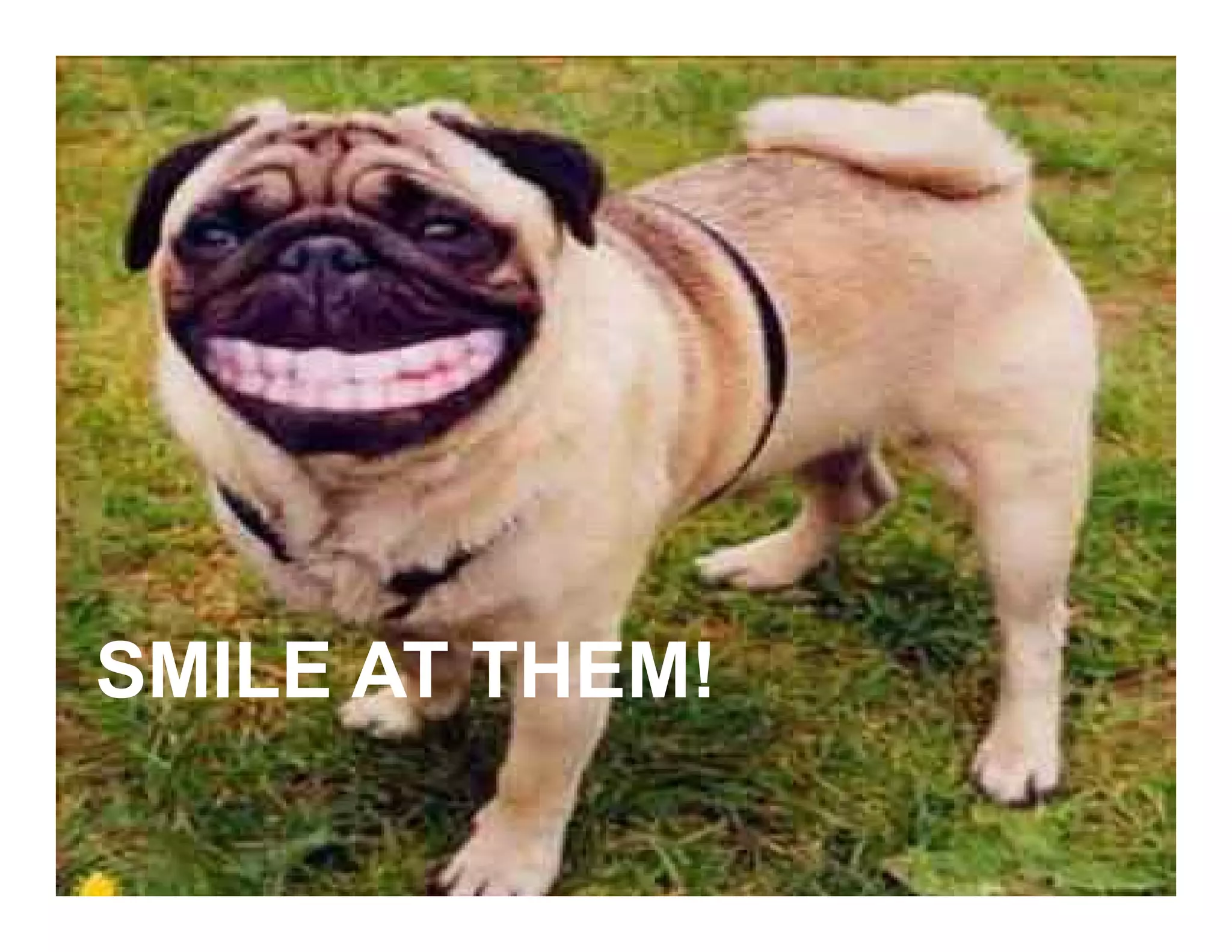 Smile at them!




SMILE AT THEM!
 