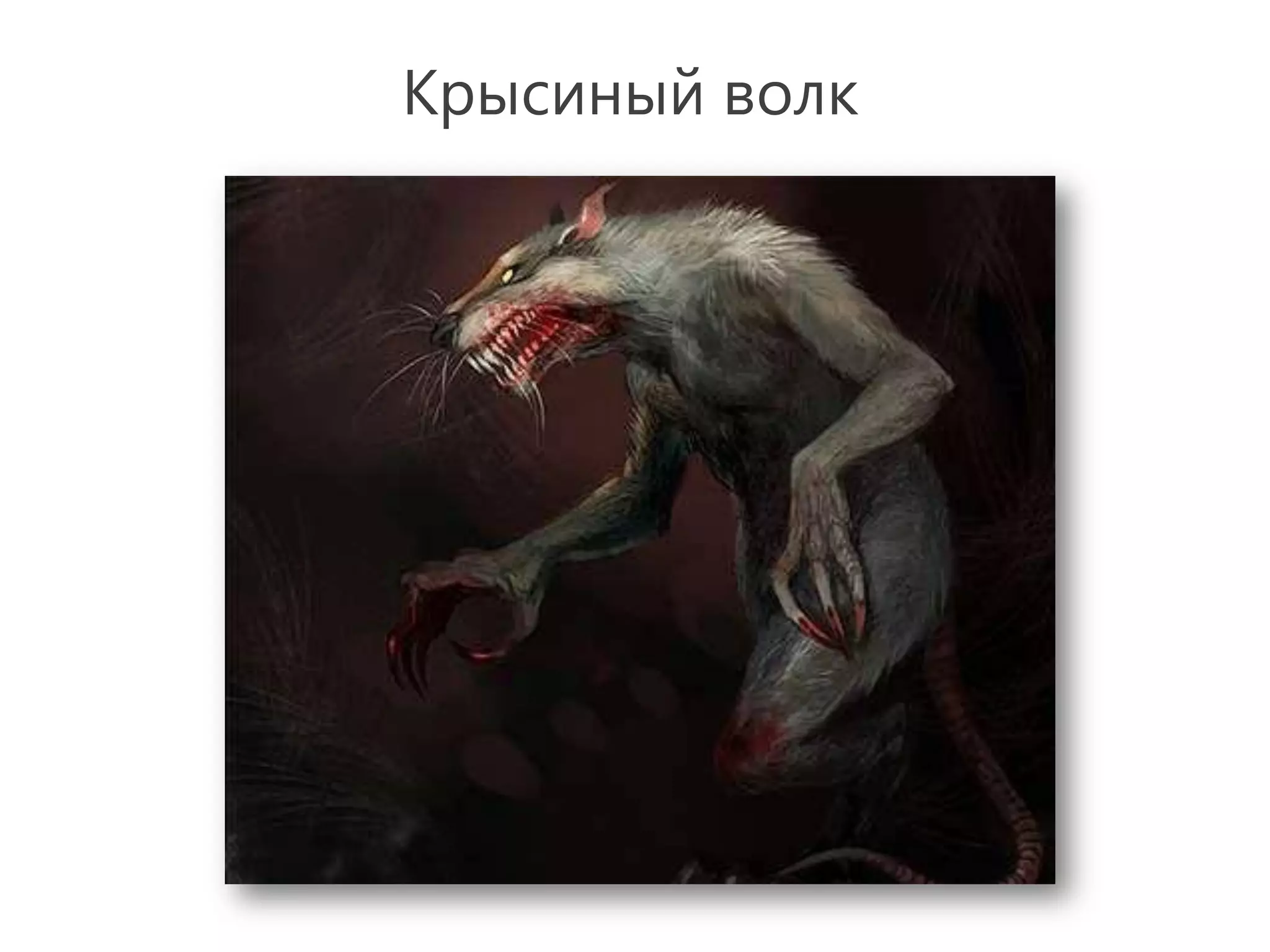 Крысиный волк
 