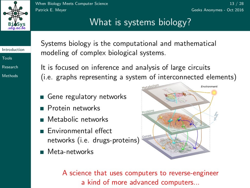 When Biology Meets Computer Science