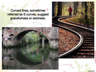 Curved lines, sometimes
referred as S curves, suggest
gracefulness or sexiness.
 