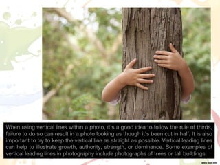 When using vertical lines within a photo, it’s a good idea to follow the rule of thirds,
failure to do so can result in a photo looking as though it’s been cut in half. It is also
important to try to keep the vertical line as straight as possible. Vertical leading lines
can help to illustrate growth, authority, strength, or dominance. Some examples of
vertical leading lines in photography include photographs of trees or tall buildings.
 