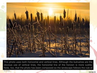This photo uses both horizontal and vertical lines. Although the bulrushes are the
obvious use of vertical lines, the horizontal line of the horizon is more subtle.
Note, too, that the photo has been composed so the landscape follows the rule of
thirds.
 