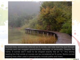 Curved lines, sometimes referred as S curves, can help lead the eye through
a photo and can suggest gracefulness, sexiness, or sensuality. Despite the
name, S curves don’t need to be shaped exactly like an “s.” Any strong
leading line that winds or curves can be considered an S curve. Some curved
leading lines often used in photography include paths and rivers.
 