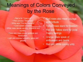 Meanings of Colors Conveyed
by the Rose
• Red roses also mean courage
and fortitude
• Yellow roses stand for freedom
• Red and Yellow stand for jovial
/happy feelings
• Orange roses speak of
enthusiasm and desire
• Red and White convey unity
•Red is for “I love you”
•Pink conveys “Thank you”
•White says “You are heavenly”
•Coral speaks of desire.
•White roses denote secrecy, reverence and
humility.
•Deep pink roses convey gratitude and
appreciation.
•Light pink express sympathy, grace and
gentility
 