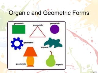 Organic and Geometric Forms
 