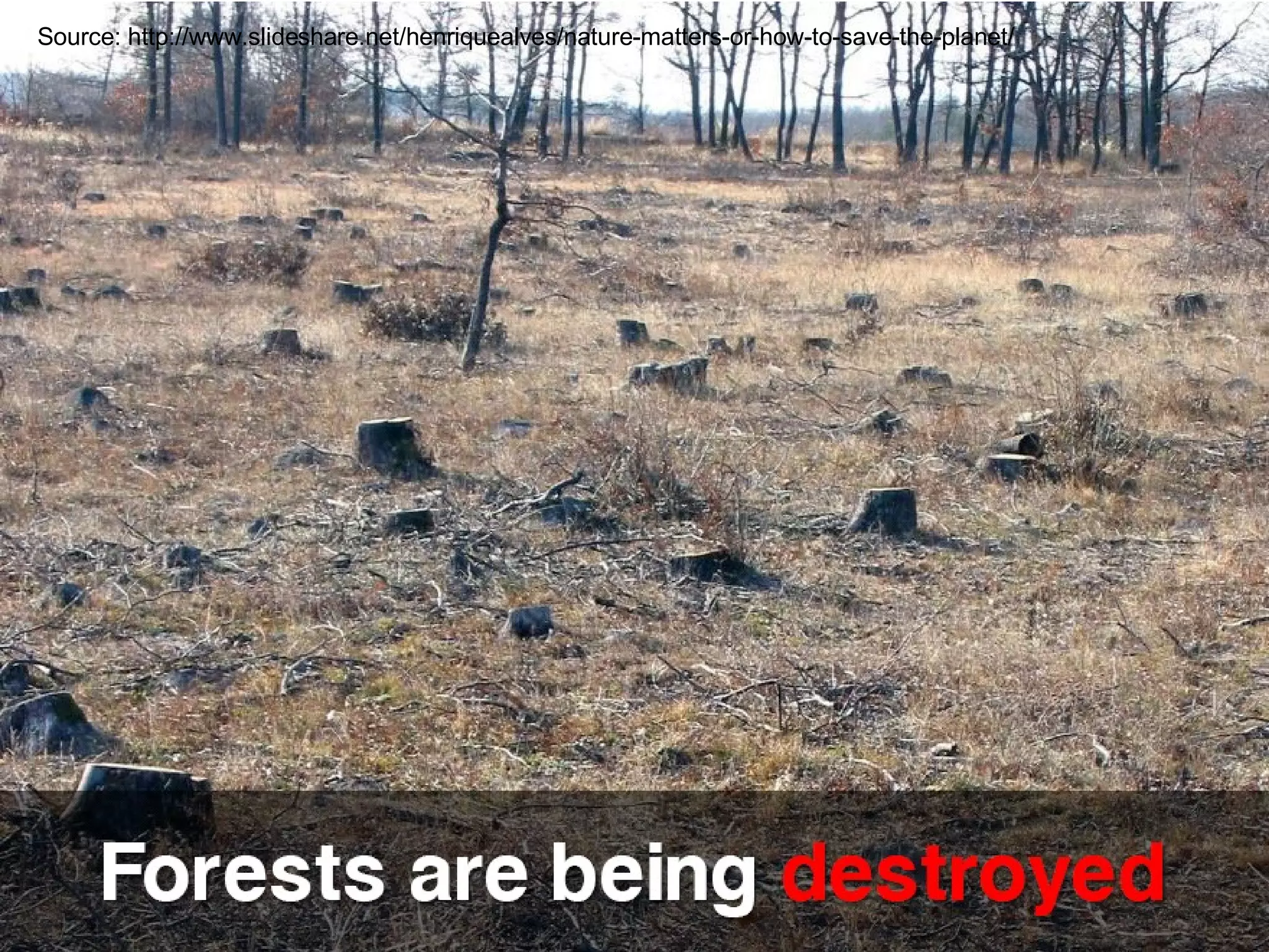 Source: http://www.slideshare.net/henriquealves/nature-matters-or-how-to-save-the-planet/ 