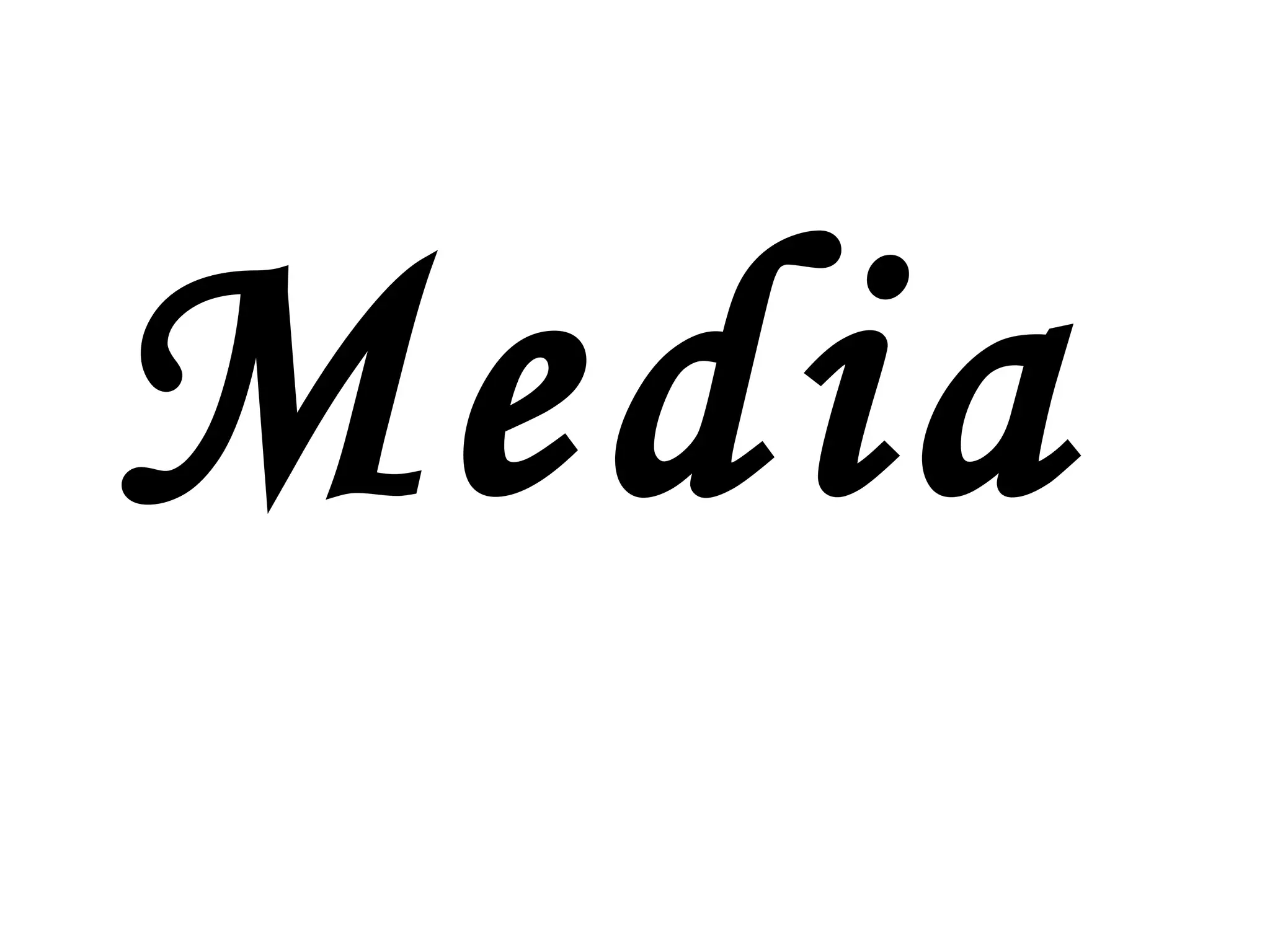Media 