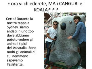 E ora vi chiederete, MA i CANGURi e i
              KOALA?!?!?
Certo! Durante la
nostra tappa a
Sydney, siamo
andati in uno zoo
dove abbiamo
potuto vedere gli
animali tipici
dell’Australia. Sono
molti gli animali di
cui nemmeno
sapevamo
l’esistenza.
 