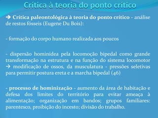 Crítica à teoria do ponto crítico
 Crítica paleontológica à teoria do ponto crítico - análise
de restos fósseis (Eugene Du Bois):
- formação do corpo humano realizada aos poucos
- dispersão hominídea pela locomoção bipedal como grande
transformação na estrutura e na função do sistema locomotor
 modificação de ossos, da musculatura - pressões seletivas
para permitir postura ereta e a marcha bipedal (46)
- processo de hominização - aumento da área de habitação e
defesa dos limites do território para evitar ameaça à
alimentação; organização em bandos; grupos familiares:
parentesco, proibição do incesto; divisão do trabalho.
 