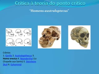 Crítica à teoria do ponto crítico
“Homens australoptecus”
Crânios
1. Gorilla 2. Australopithecus 3.
Homo erectus 4. Neanderthal (La
Chapelle aux Saints) 5. Steinheim
Skull 6. Euhominid
 
