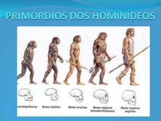PRIMÓRDIOS DOS HOMINÍDEOS
 