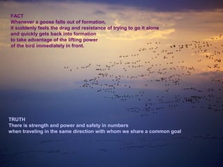 FACT
Whenever a goose falls out of formation,
it suddenly feels the drag and resistance of trying to go it alone
and quickly gets back into formation
to take advantage of the lifting power
of the bird immediately in front.
TRUTH
There is strength and power and safety in numbers
when traveling in the same direction with whom we share a common goal
 