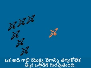 geese-team work-telugu.ppt