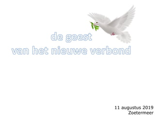 11 augustus 2019
Zoetermeer
 