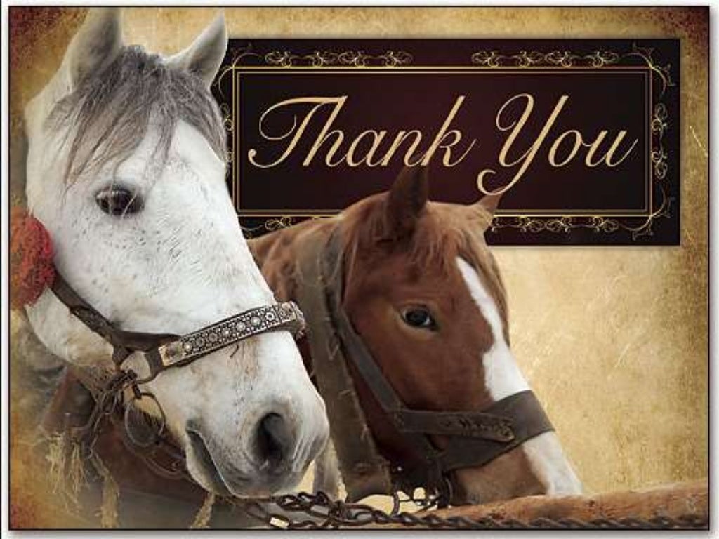 Heavyweight combo horse rug