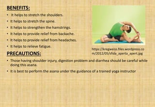 BENEFITS:
• It helps to stretch the shoulders.
• It helps to stretch the spine.
• It helps to strengthen the hamstrings.
• It helps to provide relief from backache.
• It helps to provide relief from headaches.
• It helps to relieve fatigue.
PRECAUTIONS:
• Those having shoulder injury, digestion problem and diarrhea should be careful while
doing this asana.
• It is best to perform the asana under the guidance of a trained yoga instructor
https://kregweiss.files.wordpress.co
m/2012/05/sfida_aperta_apert.jpg
 