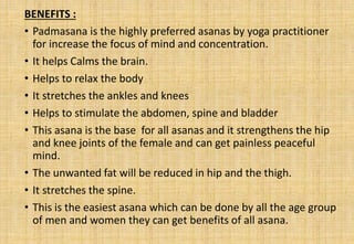 BENEFITS :
• Padmasana is the highly preferred asanas by yoga practitioner
for increase the focus of mind and concentration.
• It helps Calms the brain.
• Helps to relax the body
• It stretches the ankles and knees
• Helps to stimulate the abdomen, spine and bladder
• This asana is the base for all asanas and it strengthens the hip
and knee joints of the female and can get painless peaceful
mind.
• The unwanted fat will be reduced in hip and the thigh.
• It stretches the spine.
• This is the easiest asana which can be done by all the age group
of men and women they can get benefits of all asana.
 