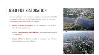 Adyar River Restoration, Chennai | PDF