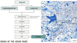 Adyar River Restoration, Chennai | PDF