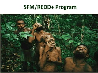 SFM/REDD+ Program 
 