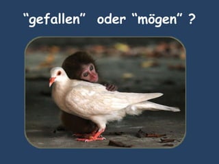 “gefallen” oder “mögen” ?
 