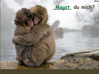 ______ du mich?Magst
 